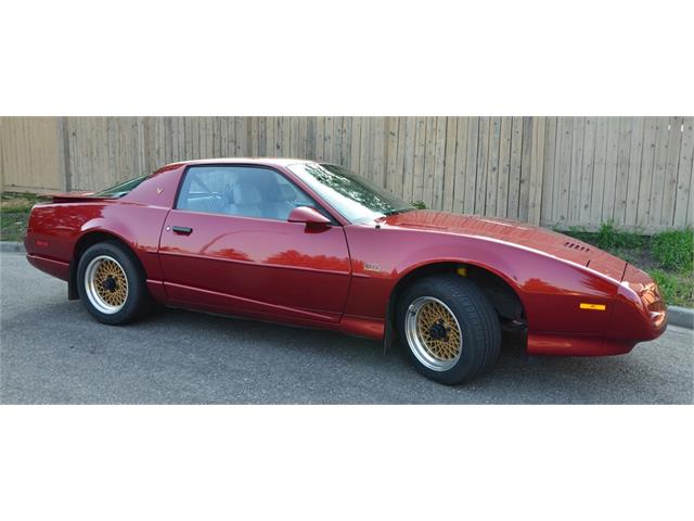 1991 Pontiac Firebird Trans Am GTA (CC-1623428) for sale in Sherwood Park, default