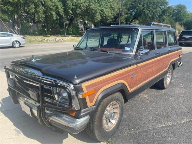 1986 Jeep Grand Wagoneer (CC-1624577) for sale in Cadillac, Michigan