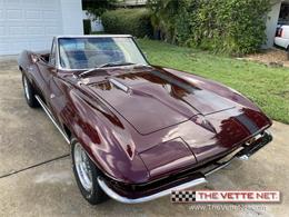 1965 Chevrolet Corvette (CC-1624814) for sale in Sarasota, Florida