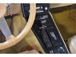 1979 Chevrolet Corvette (CC-1626651) for sale in Payson, Arizona