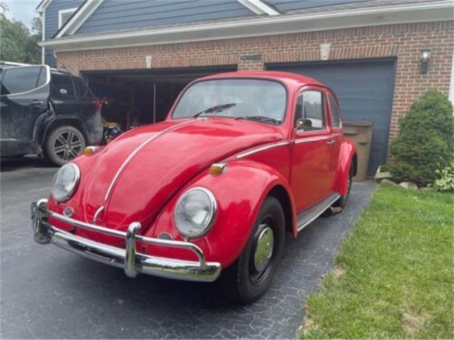 1966 Volkswagen Beetle (CC-1626799) for sale in Cadillac, Michigan