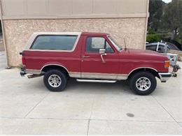 1988 Ford Bronco (CC-1626940) for sale in Cadillac, Michigan