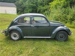 1956 Volkswagen Beetle (CC-1627164) for sale in Cadillac, Michigan