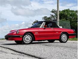 1986 Alfa Romeo Spider (CC-1627498) for sale in Palmetto, Florida