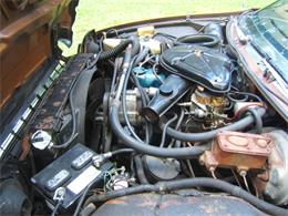 1977 AMC Pacer (CC-1627600) for sale in Livonia, Michigan