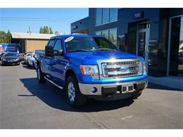 2013 Ford F150 (CC-1620084) for sale in Bellingham, Washington
