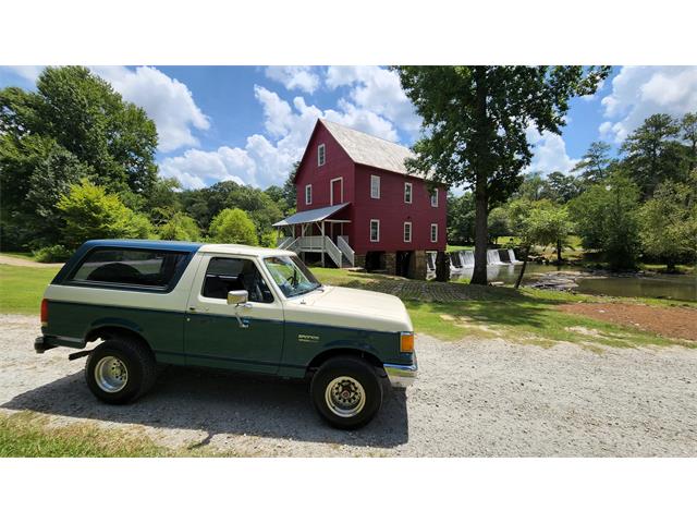 1989 Ford Bronco (CC-1628533) for sale in Fayetteville, Georgia