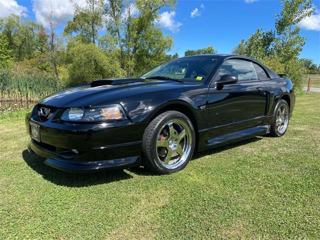 2003 Ford Mustang (CC-1629087) for sale in Hilton, New York