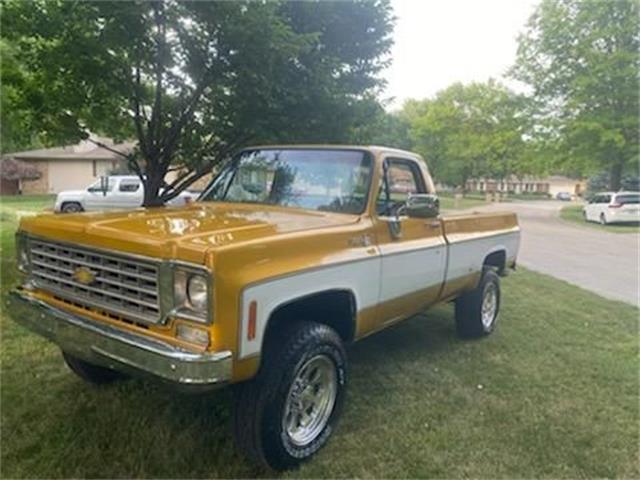 1976 Chevrolet K-20 (CC-1629342) for sale in Cadillac, Michigan