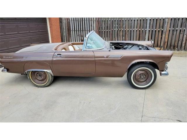 1955 Ford Thunderbird (CC-1629380) for sale in Cadillac, Michigan