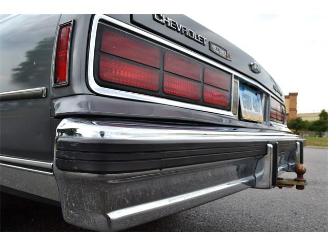 1987 Chevrolet Caprice (CC-1629471) for sale in Ramsey, Minnesota