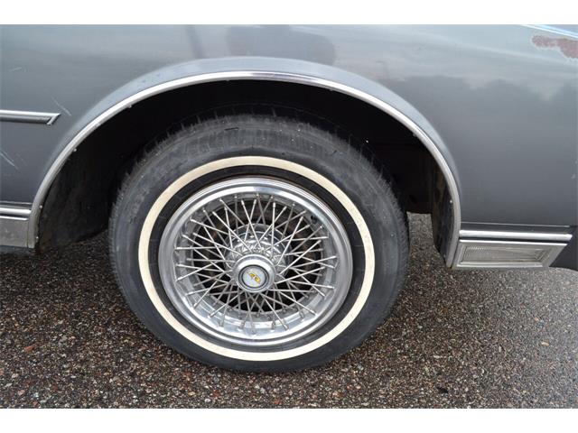 1987 Chevrolet Caprice (CC-1629471) for sale in Ramsey, Minnesota