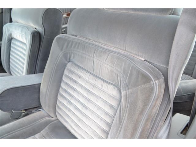 1987 Chevrolet Caprice (CC-1629471) for sale in Ramsey, Minnesota