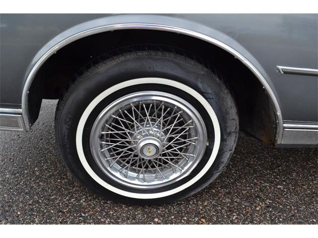 1987 Chevrolet Caprice (CC-1629471) for sale in Ramsey, Minnesota