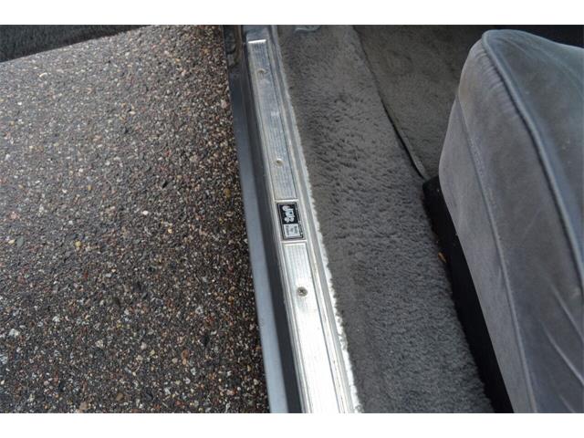 1987 Chevrolet Caprice (CC-1629471) for sale in Ramsey, Minnesota