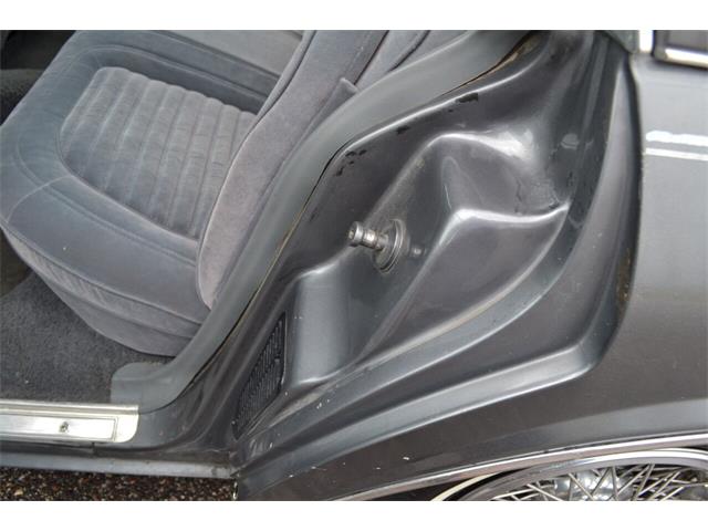 1987 Chevrolet Caprice (CC-1629471) for sale in Ramsey, Minnesota
