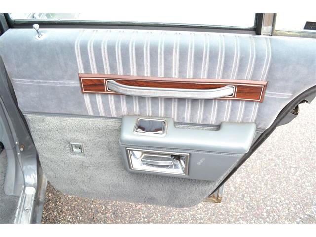 1987 Chevrolet Caprice (CC-1629471) for sale in Ramsey, Minnesota