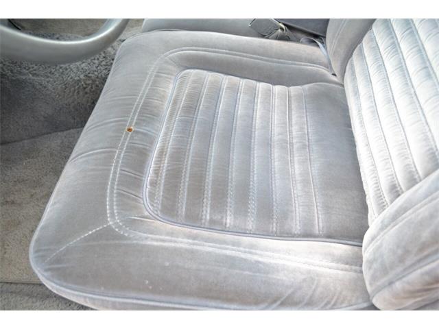 1987 Chevrolet Caprice (CC-1629471) for sale in Ramsey, Minnesota