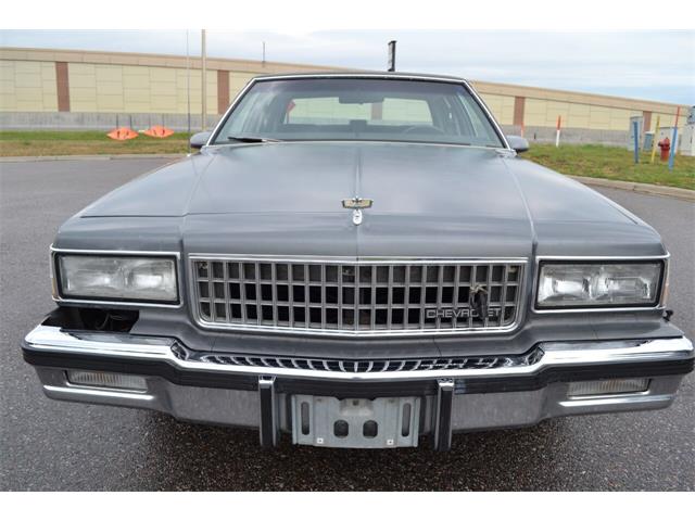 1987 Chevrolet Caprice (CC-1629471) for sale in Ramsey, Minnesota