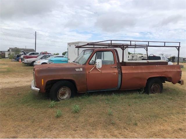 1978 Chevrolet C20 (CC-1631349) for sale in Cadillac, Michigan