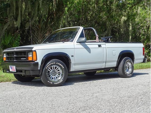 1989 Dodge Dakota (CC-1631511) for sale in Palmetto, Florida