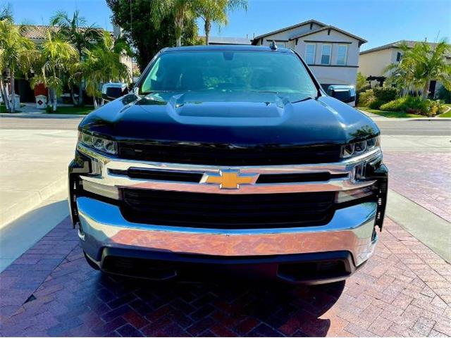 2019 Chevrolet Silverado for Sale | ClassicCars.com | CC-1631692