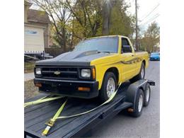 1991 Chevrolet S10 (CC-1631714) for sale in Cadillac, Michigan