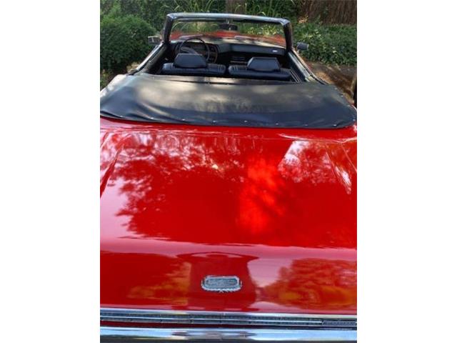 1970 Ford Galaxie 500 (CC-1631760) for sale in Cadillac, Michigan