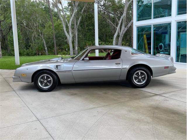 1976 Pontiac Firebird Trans Am (CC-1632268) for sale in Palmetto, Florida