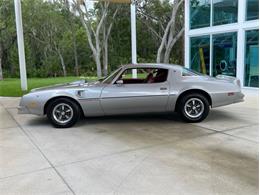 1976 Pontiac Firebird Trans Am (CC-1632268) for sale in Palmetto, Florida