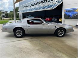 1976 Pontiac Firebird Trans Am (CC-1632268) for sale in Palmetto, Florida