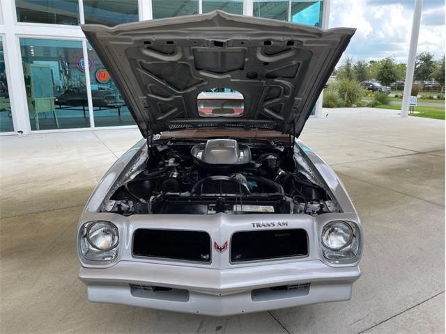 1976 Pontiac Firebird Trans Am (CC-1632268) for sale in Palmetto, Florida