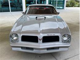 1976 Pontiac Firebird Trans Am (CC-1632268) for sale in Palmetto, Florida