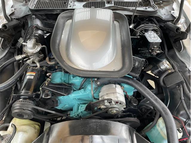 1976 Pontiac Firebird Trans Am (CC-1632268) for sale in Palmetto, Florida