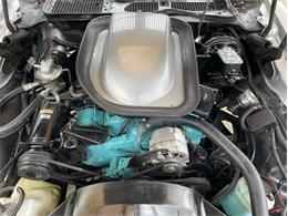 1976 Pontiac Firebird Trans Am (CC-1632268) for sale in Palmetto, Florida