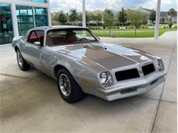 1976 Pontiac Firebird Trans Am (CC-1632268) for sale in Palmetto, Florida