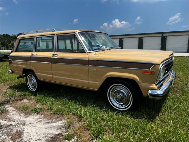 1978 Jeep Wagoneer (CC-1632999) for sale in Savannah, Georgia