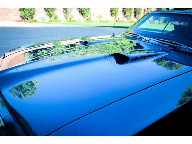 1969 Pontiac Firebird (CC-1633133) for sale in Greeley, Colorado