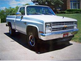 1983 Chevrolet Scottsdale (CC-1633406) for sale in Cadillac, Michigan