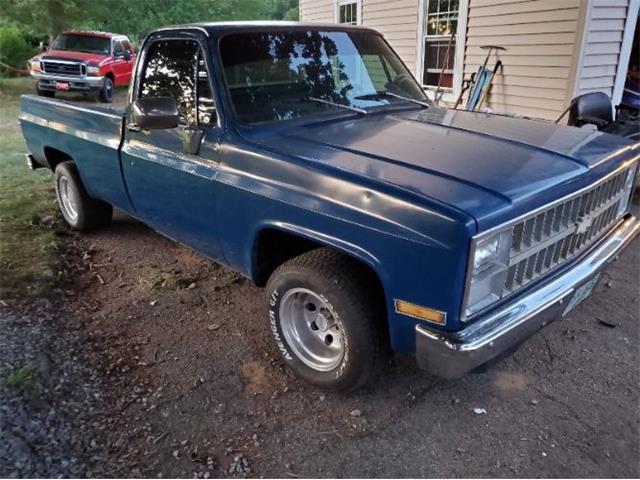 1981 Chevrolet C10 for Sale | ClassicCars.com | CC-1633855