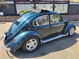 1967 Volkswagen Beetle (CC-1633860) for sale in Cadillac, Michigan