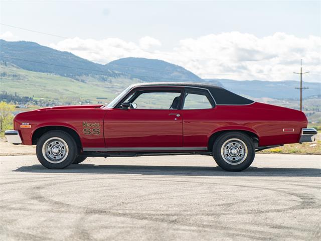1974 Chevrolet Nova (CC-1633902) for sale in Kelowna, British Columbia