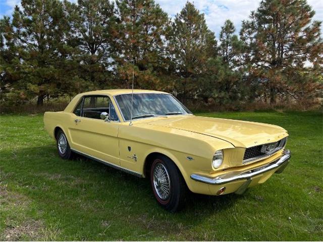 1966 Ford Mustang (CC-1633916) for sale in Cadillac, Michigan