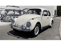 1967 Volkswagen Beetle (CC-1633963) for sale in Fairfield, California