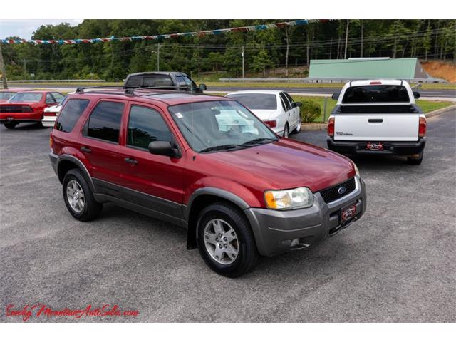 2004 Ford Escape (CC-1634200) for sale in Lenoir City, Tennessee