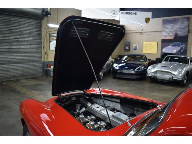 1960 AC Aceca (CC-1634707) for sale in Huntington Station, New York