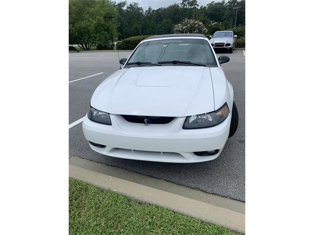 2001 Ford Mustang Cobra (CC-1634834) for sale in Bluffton , South Carolina