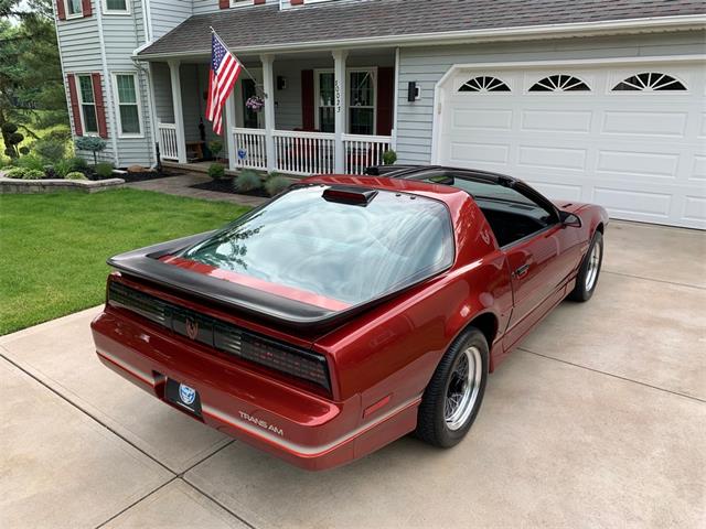 1986 Pontiac Firebird Trans Am (CC-1634837) for sale in North Royalton, Ohio