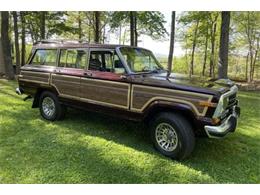 1989 Jeep Grand Wagoneer (CC-1630521) for sale in Cadillac, Michigan