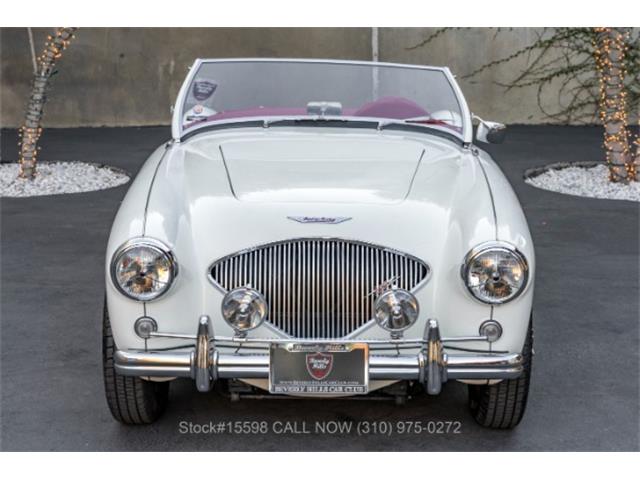 1955 Austin-Healey 100-4 (CC-1635249) for sale in Beverly Hills, California
